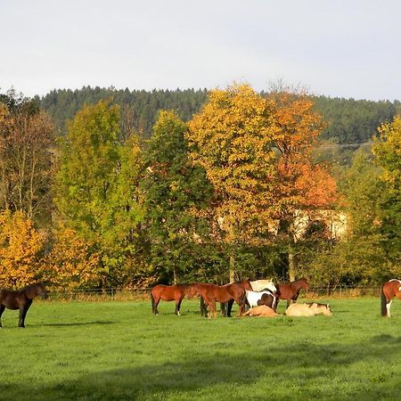 Lidmiluv Mlyn Hotell Sadek Exteriör bild