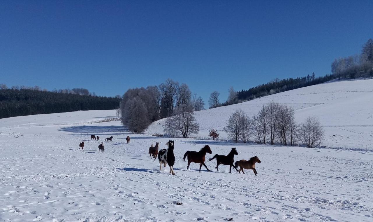 Lidmiluv Mlyn Hotell Sadek Exteriör bild